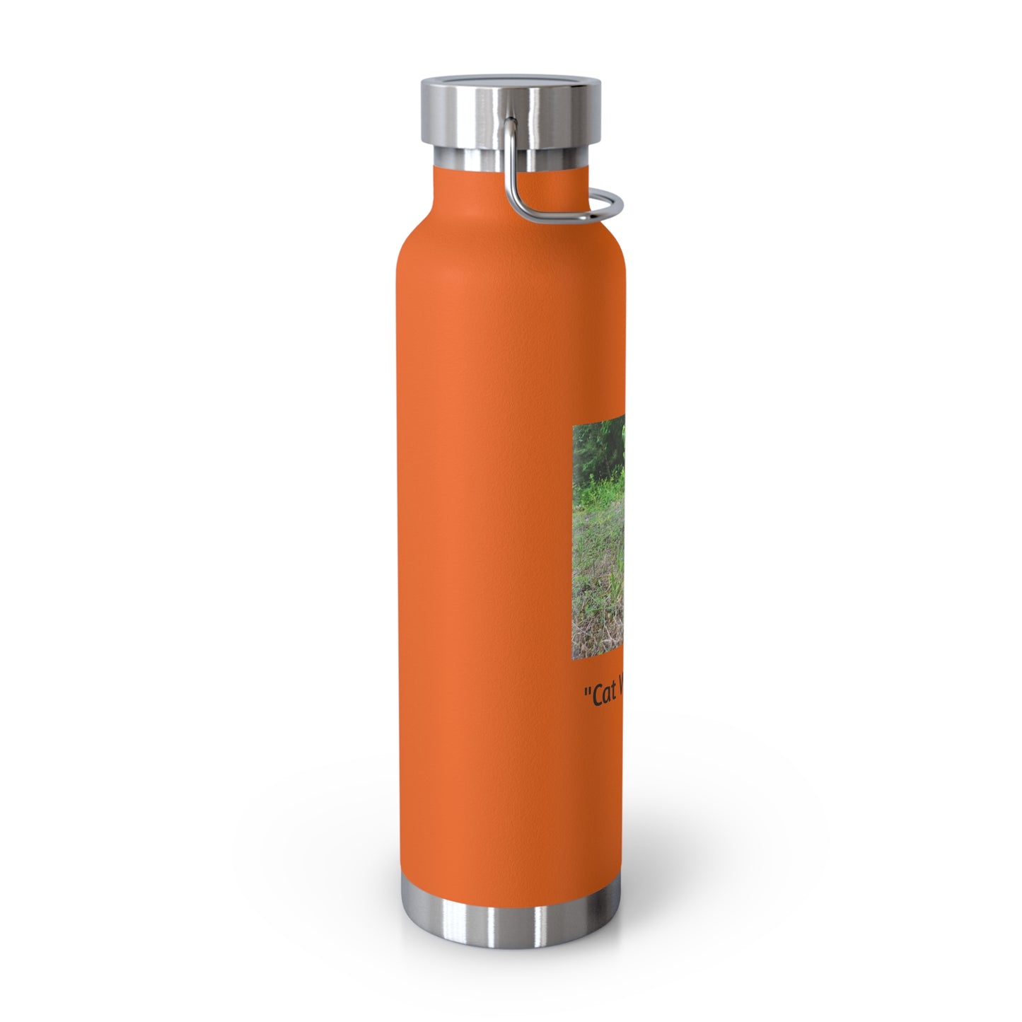 "Cat Walk" Vacuum Insulated Bottle, 22oz