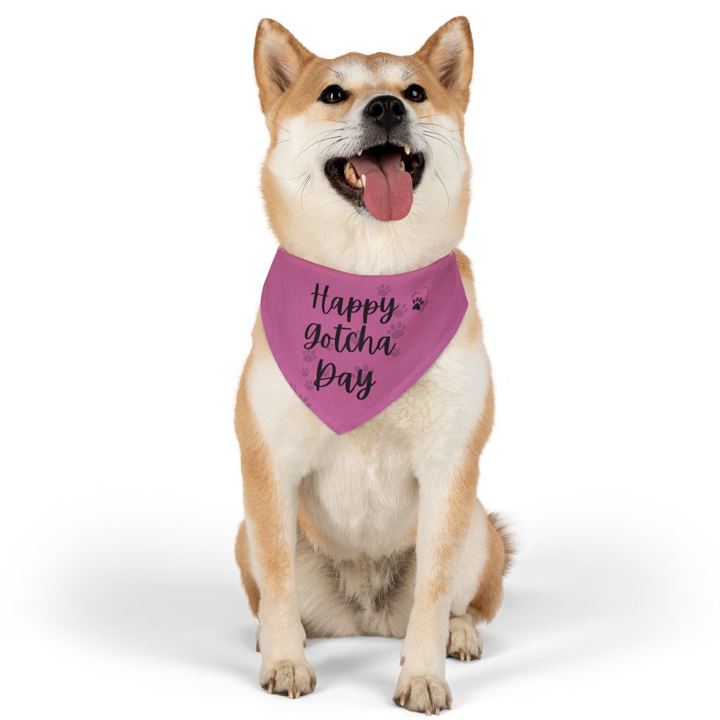 Shelter Line: Pet Bandana Collar