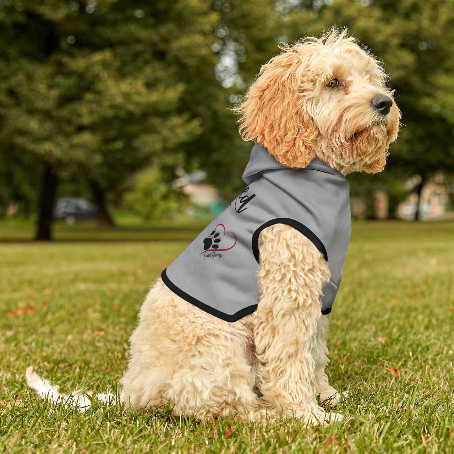 Pet Hoodie for your Dog or Cat