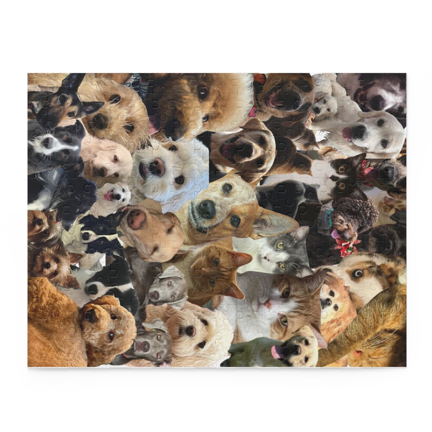 FRIENDS Puzzle (120, 252, 500-Piece)
