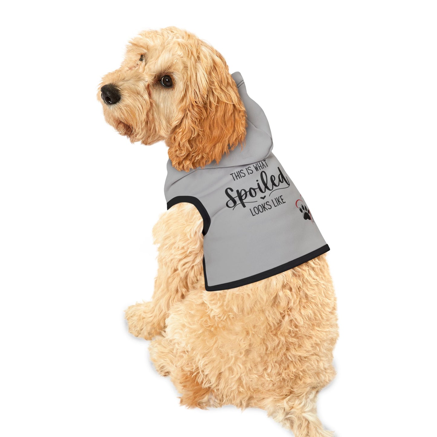 Pet Hoodie for your Dog or Cat
