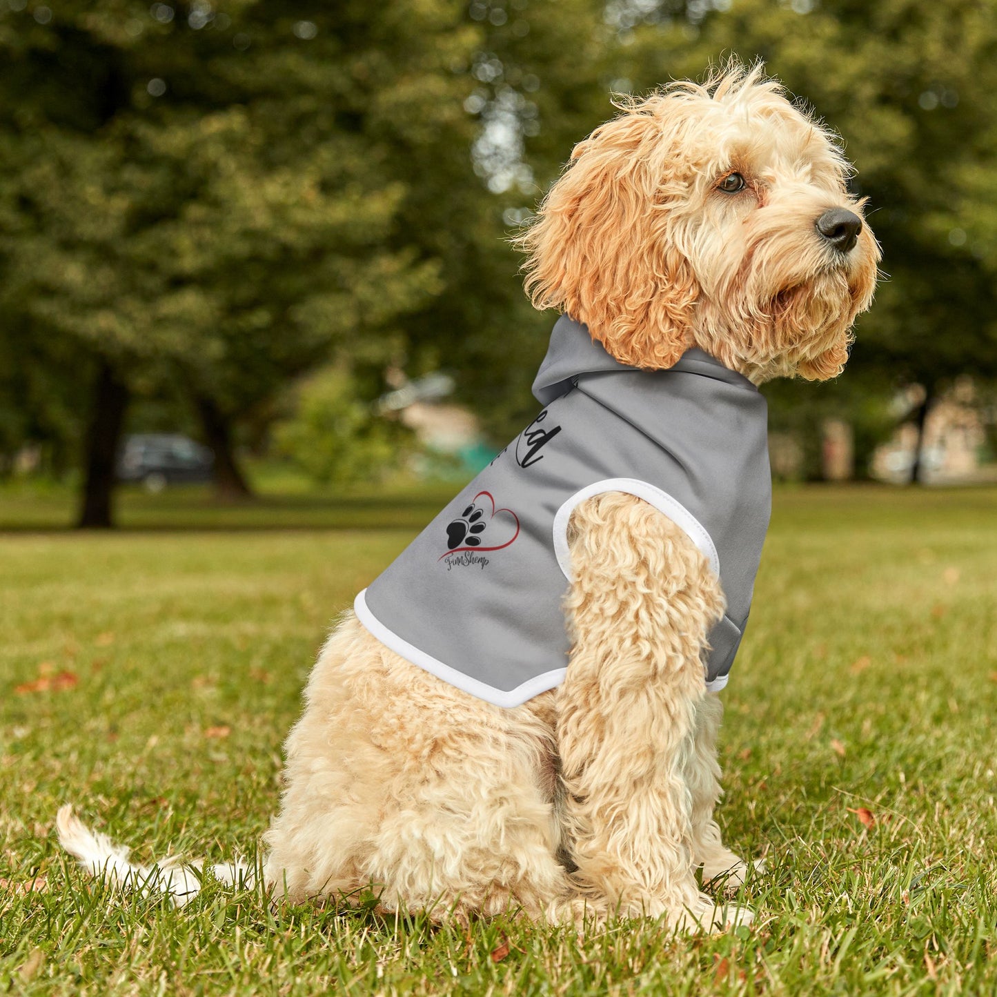 Pet Hoodie for your Dog or Cat