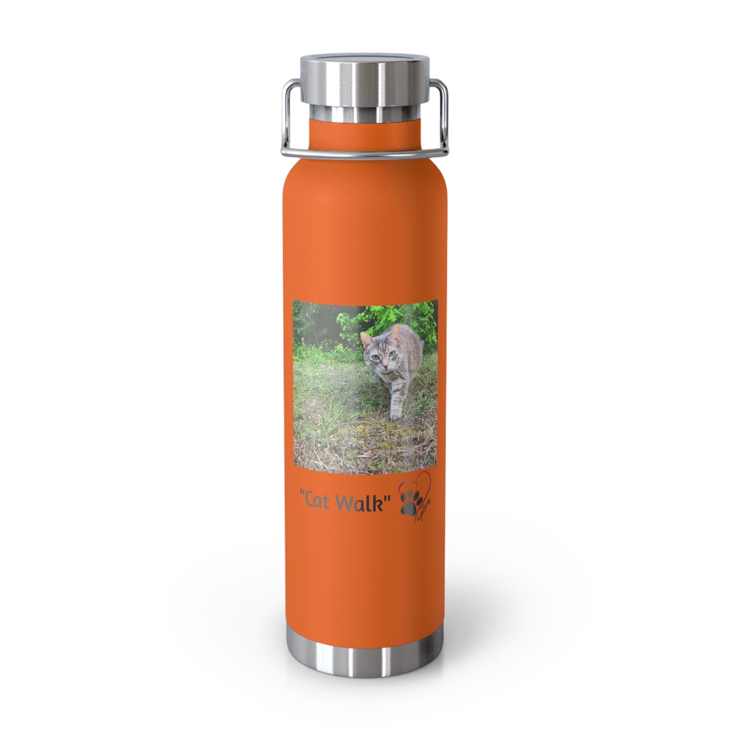 "Cat Walk" Vacuum Insulated Bottle, 22oz