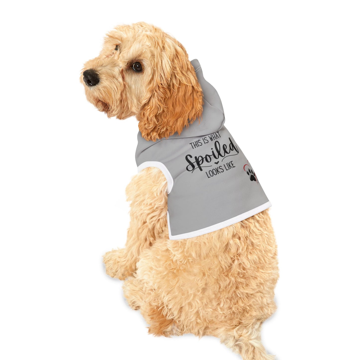 Pet Hoodie for your Dog or Cat