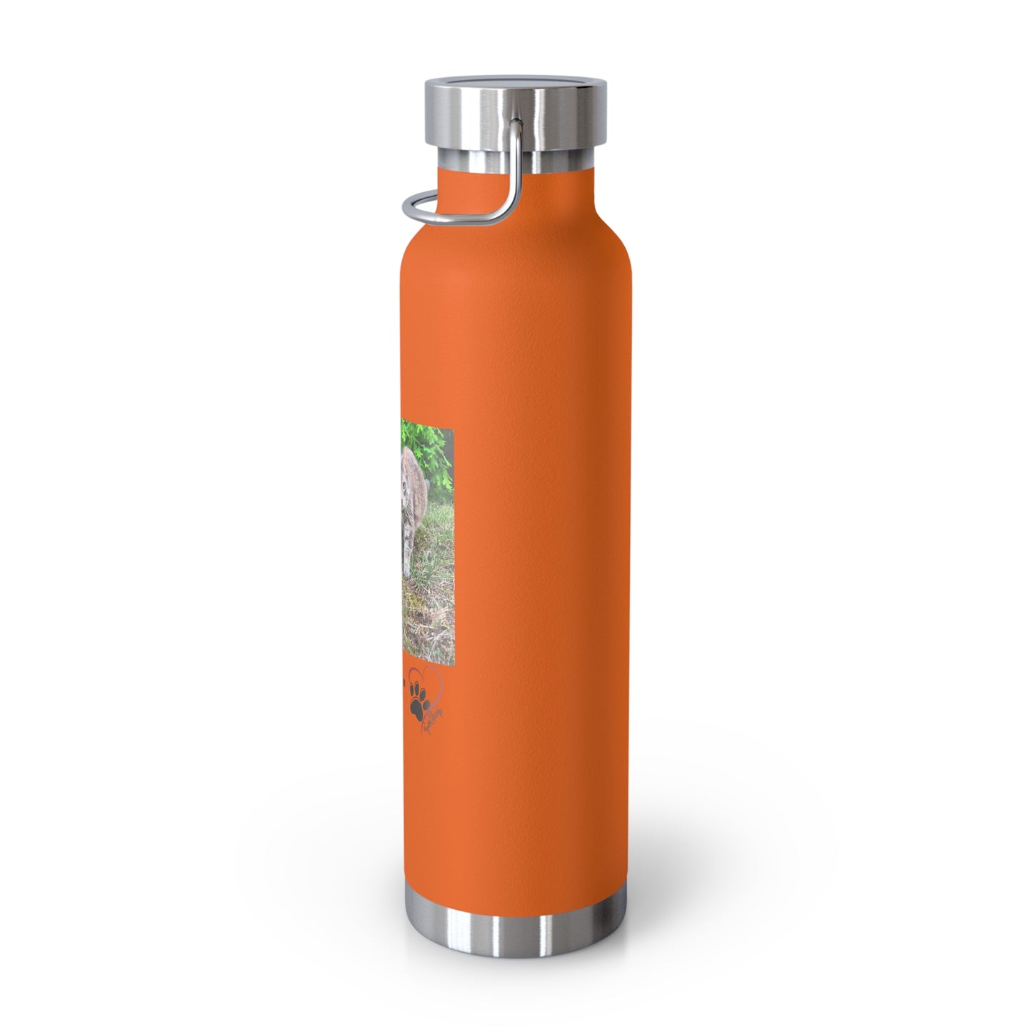 "Cat Walk" Vacuum Insulated Bottle, 22oz