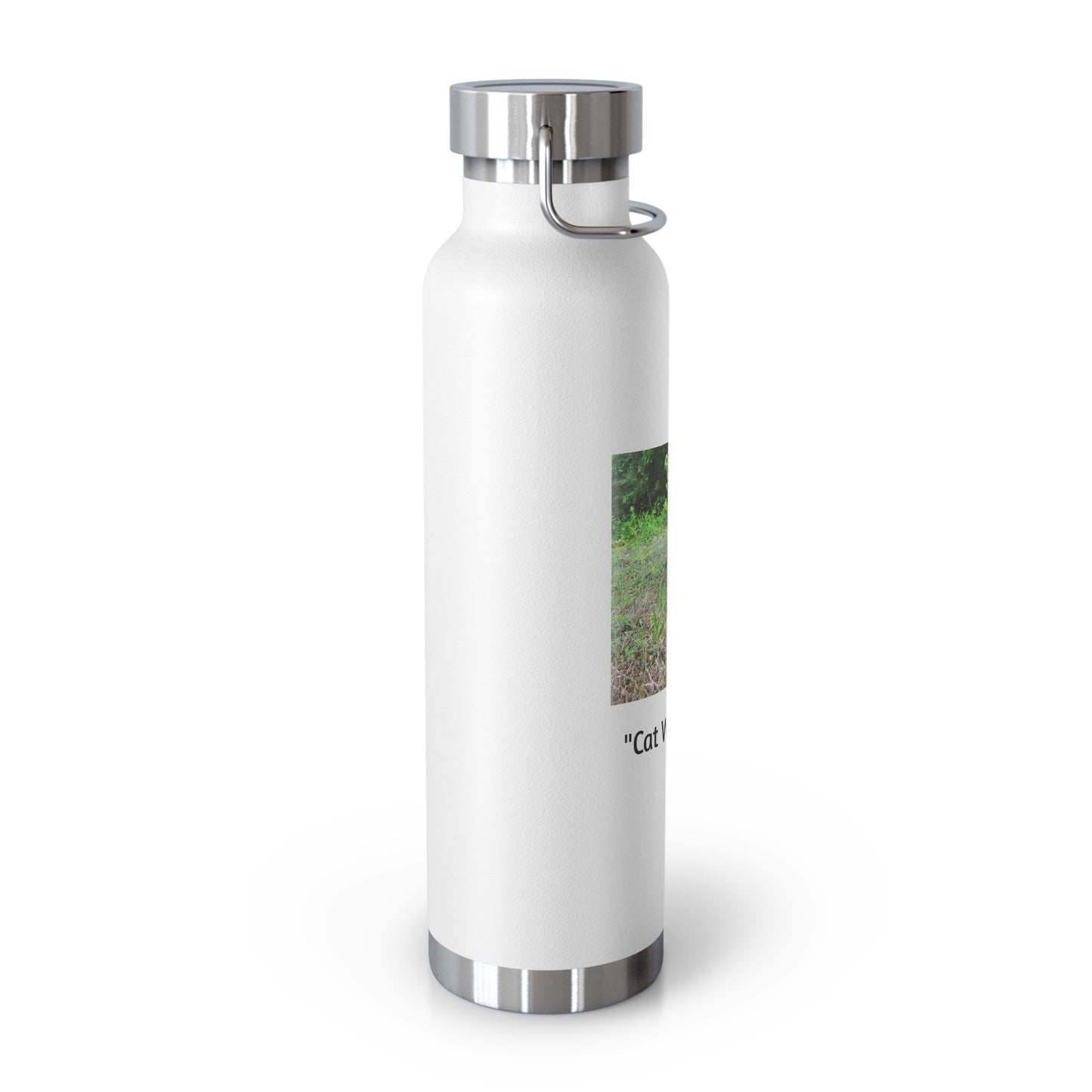 "Cat Walk" Vacuum Insulated Bottle, 22oz