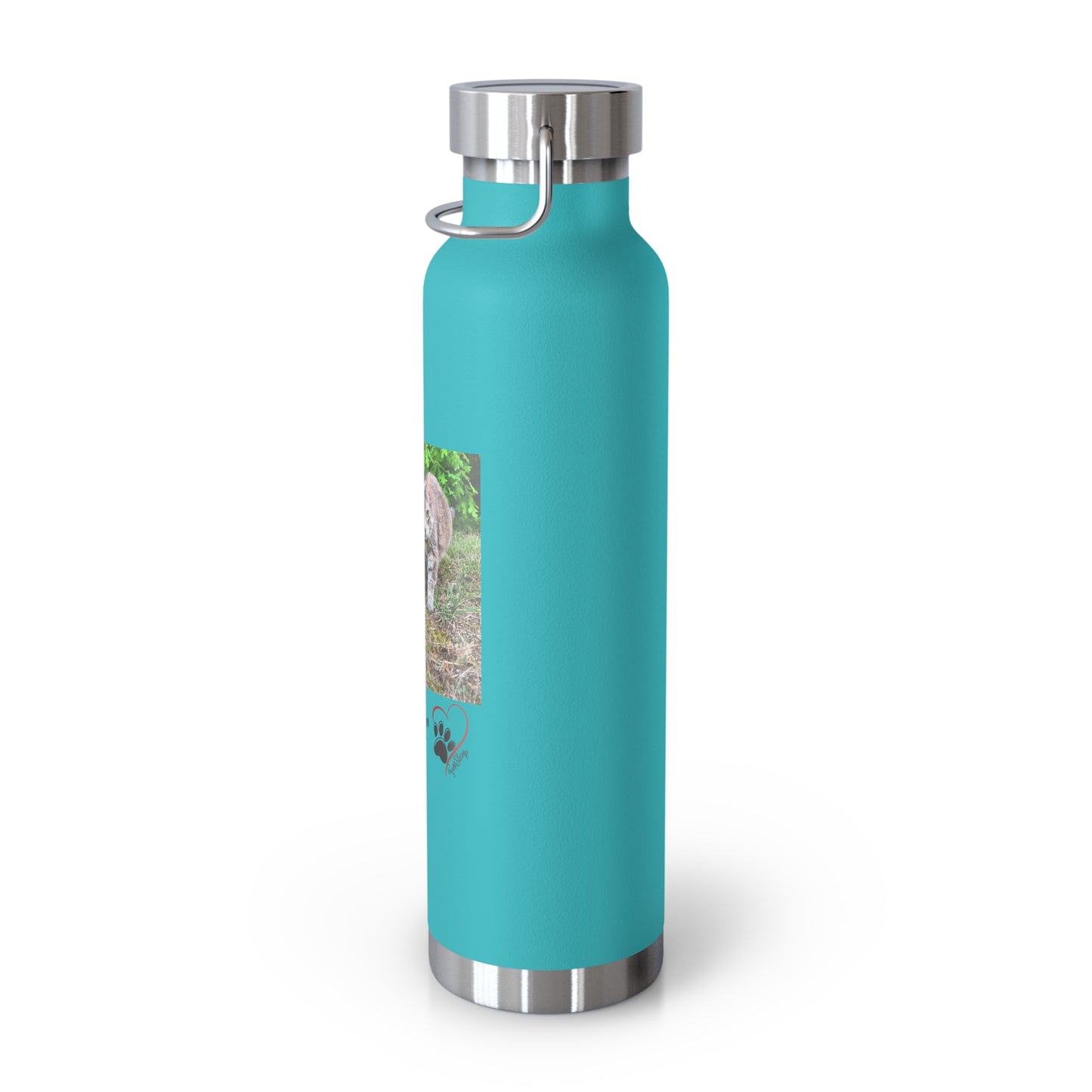 "Cat Walk" Vacuum Insulated Bottle, 22oz