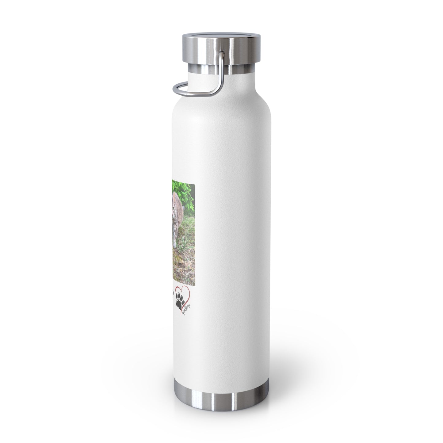 "Cat Walk" Vacuum Insulated Bottle, 22oz